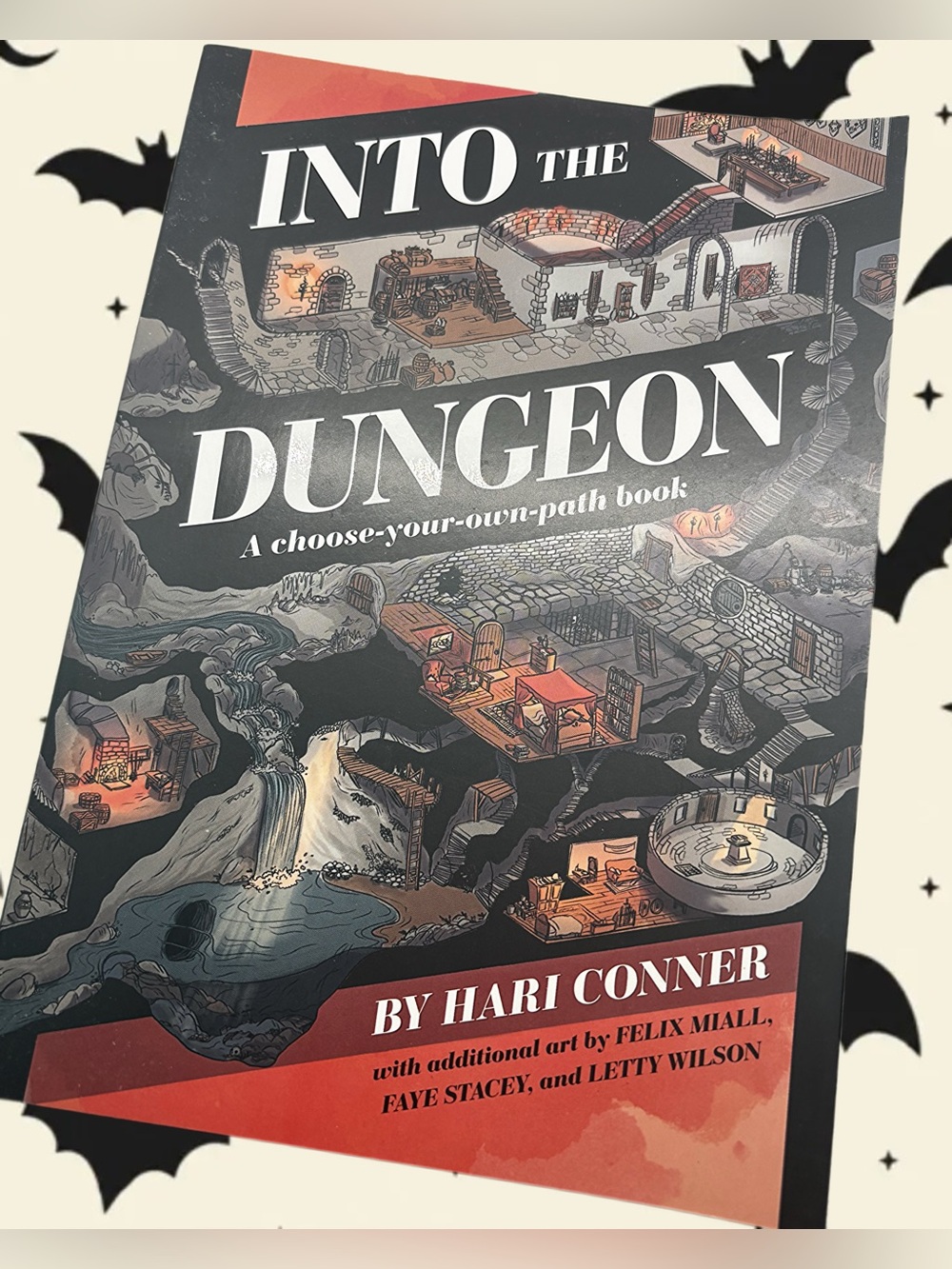 Into the Dungeon - Choose Your Own Adventure - NEW Paperback